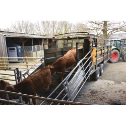 Bétaillère MERCURE 8,20 - Freinage Pneumatique - avec passage de roue - fond résine - Cosnet Agricole