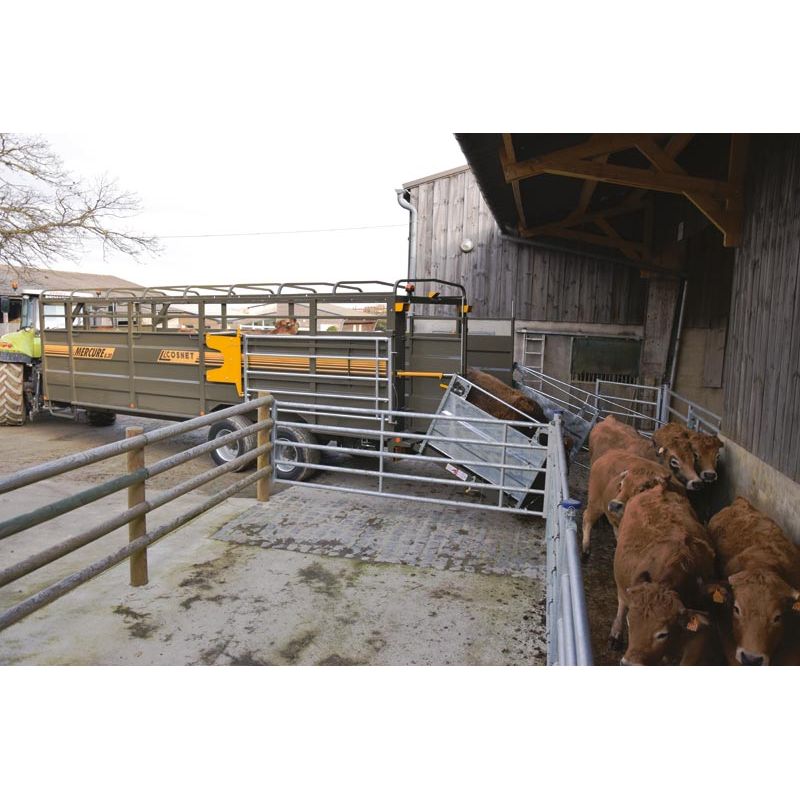 Bétaillère MERCURE 8,20 - Freinage Pneumatique - avec passage de roue - fond résine - Cosnet Agricole