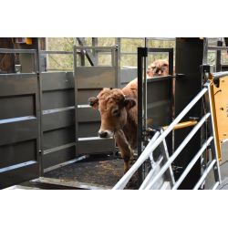 Bétaillère MERCURE 9,50 - Freinage Pneumatique - avec passage de roue - fond tôlé - Cosnet Agricole