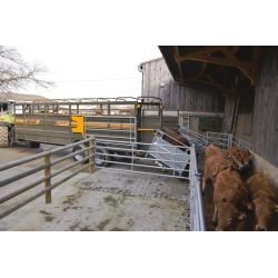 Bétaillère MERCURE 8,20 - avec passage de roue - fond résine - Cosnet Agricole Bétaillère MERCURE 8,20 - avec passage de roue - fond résine - Cosnet Agricole