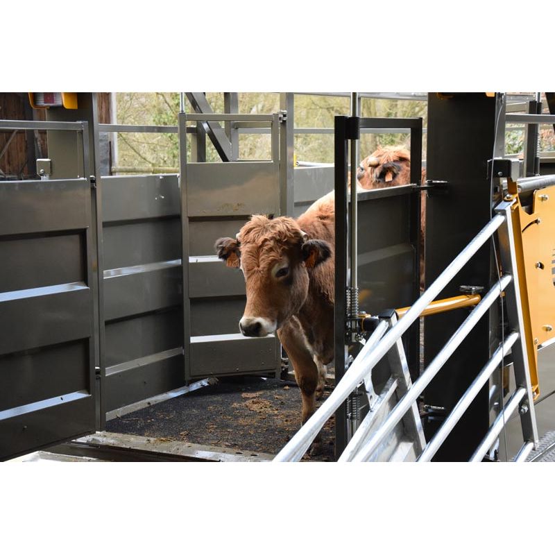 Bétaillère MERCURE 9,50 - Freinage Hydraulique - avec passage de roue - fond tôlé - Cosnet Agricole